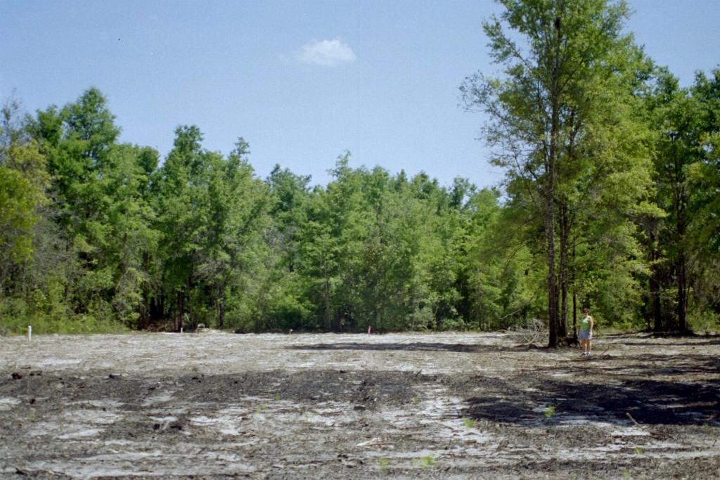 How to Clear Your Own Land