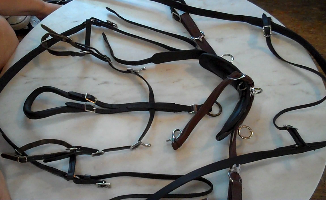 Donkey Driving Harness: How to Put it Together