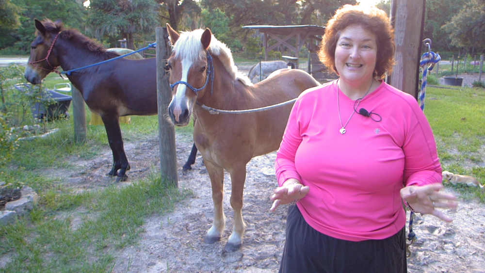 Horse Talk Around The Barn