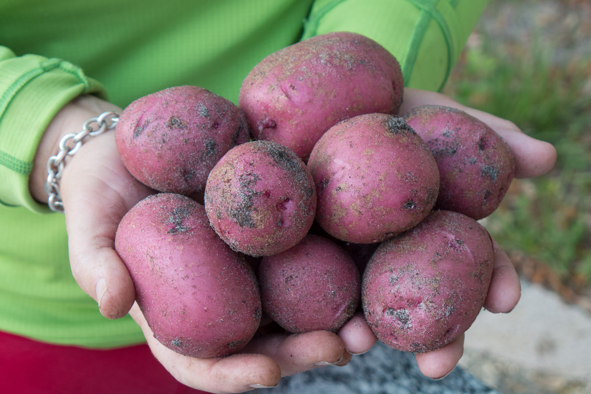 How to make a potato tower.