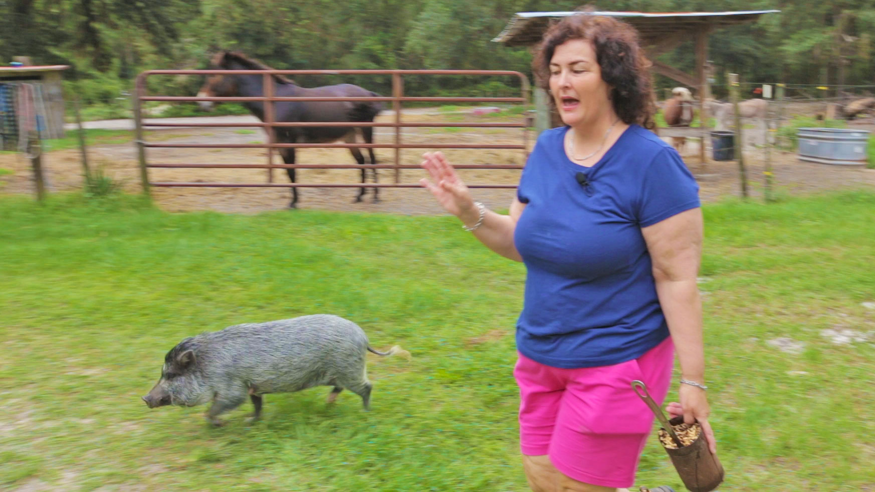 Homesteading Today: A Tour of Becky’s Homestead