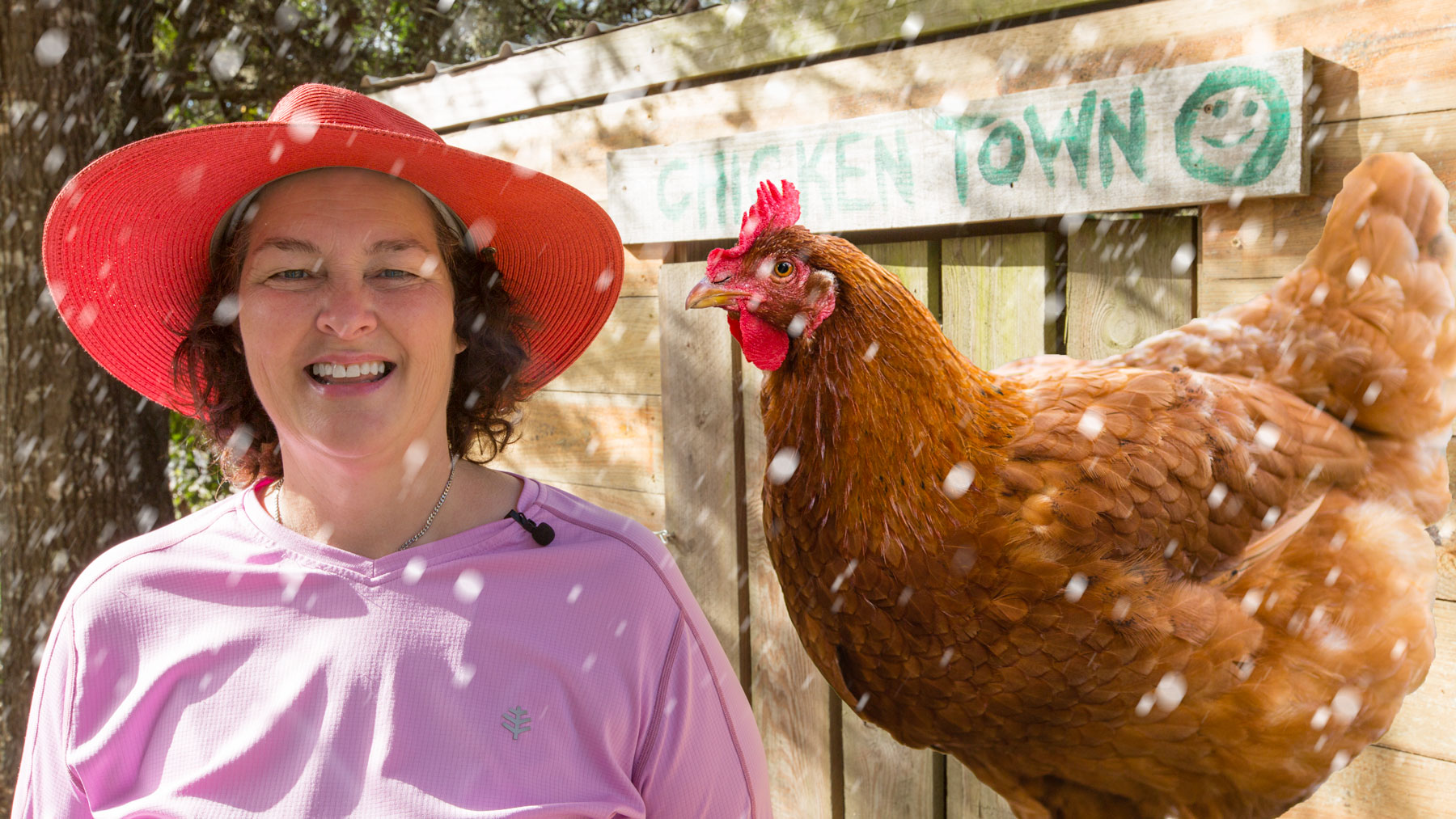 Winterizing Your Chicken Coop