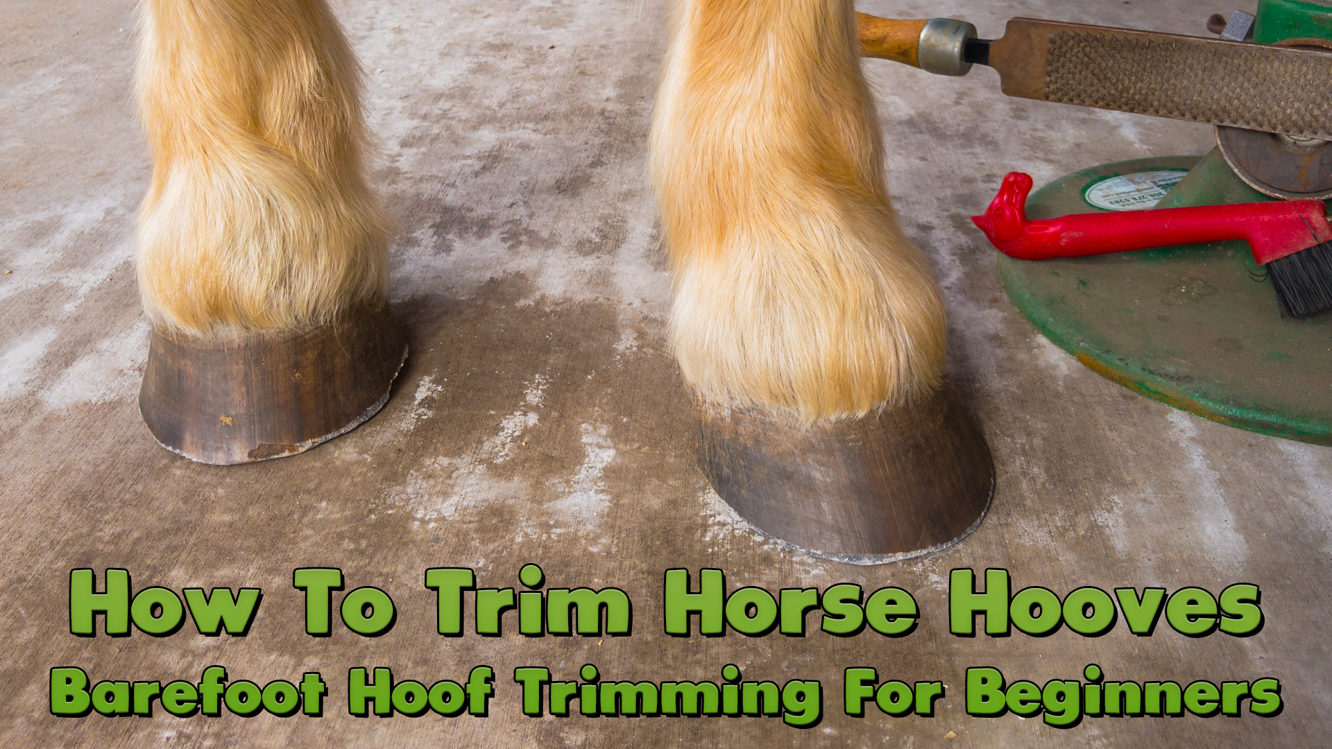 How To Trim Horse Hooves: Barefoot Hoof Trimming For Beginners