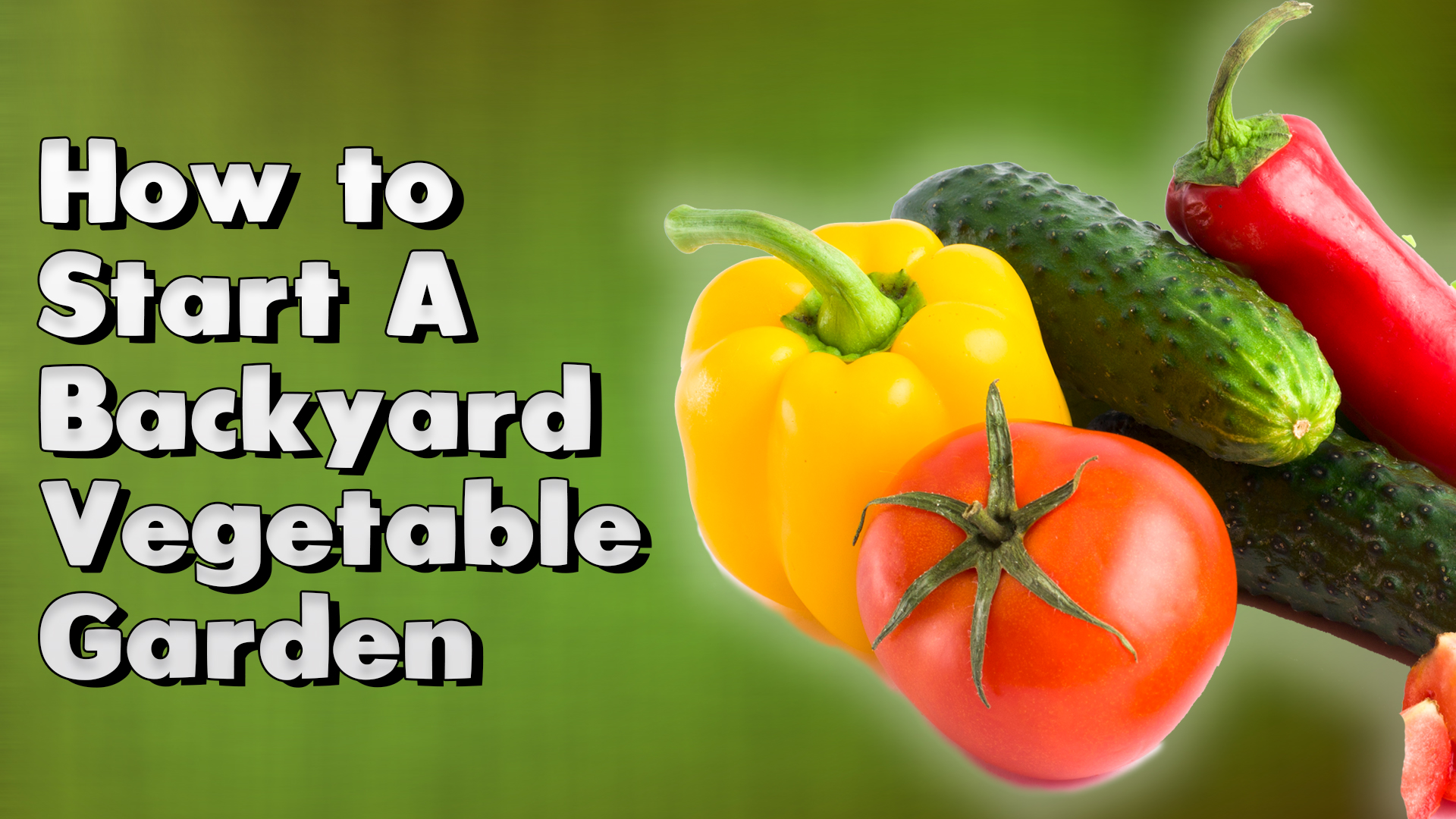 How to Start A Backyard Vegetable Garden